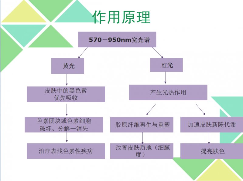 案例图片