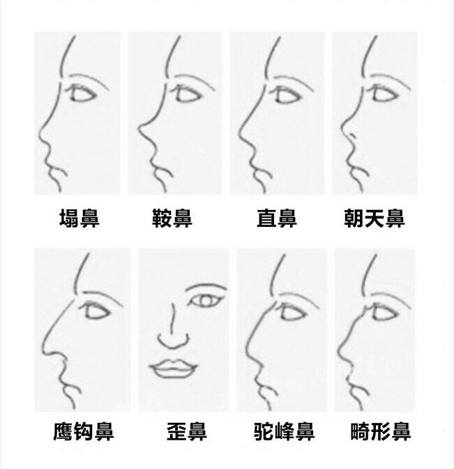 案例图片