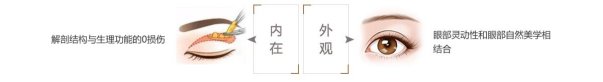 案例图片