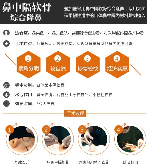 案例图片