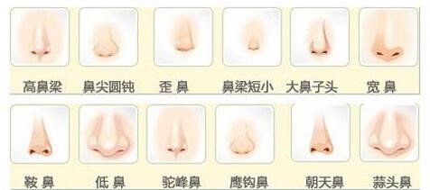 https://img.yiyiaimei.com/mnt/Editor/2017-08-23/599d318438a70.jpg