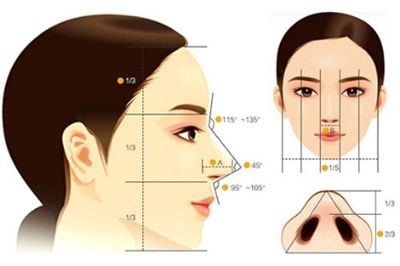 https://img.yiyiaimei.com/mnt/Editor/2017-08-23/599d31af81581.jpg