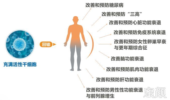 案例图片