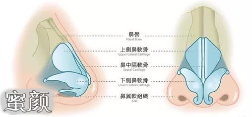 案例图片