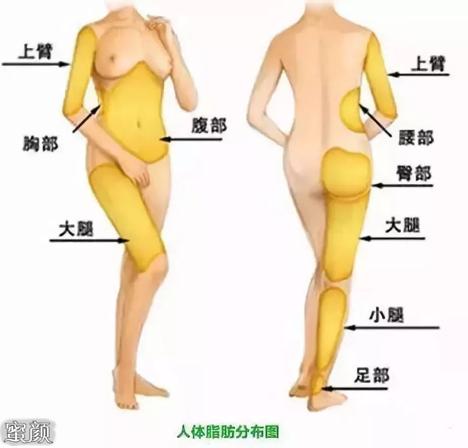 https://img.yiyiaimei.com/mnt/Editor/2020-07-17/5f11394329946.jpg