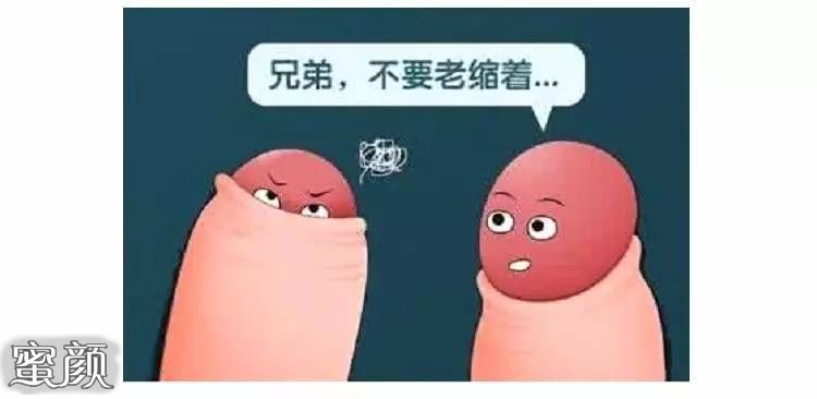 案例图片