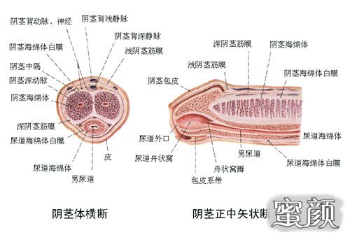 案例图片