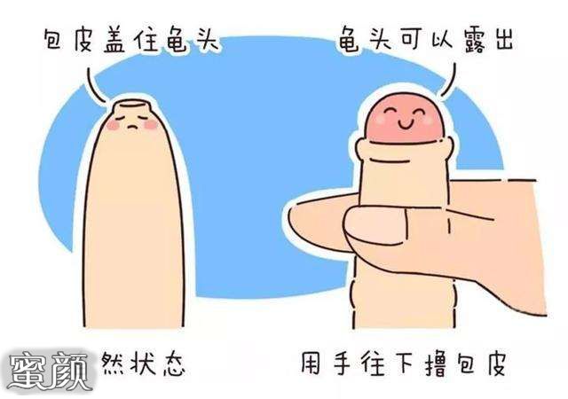 案例图片