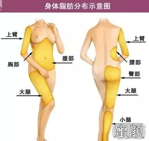 https://img.yiyiaimei.com/mnt/Editor/2020-09-07/5f55f9cfefa82.jpg