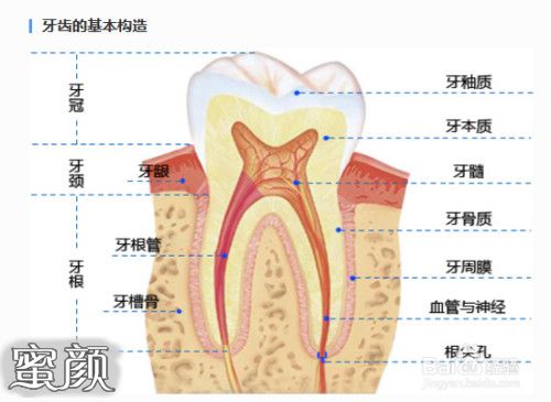 案例图片