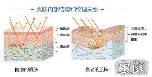 案例图片