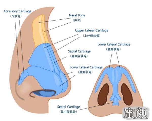 案例图片