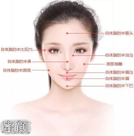 案例图片