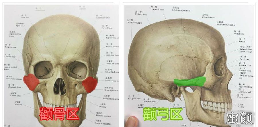 案例图片