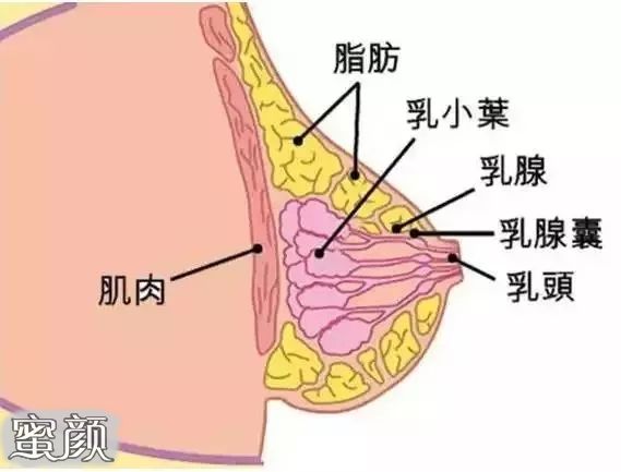 案例图片