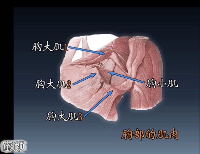 案例图片