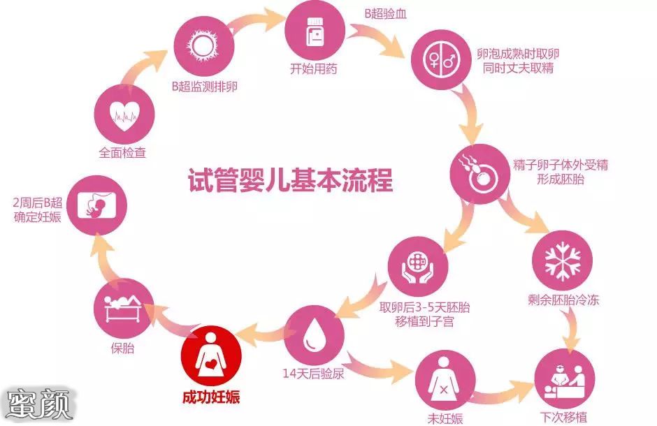 案例图片