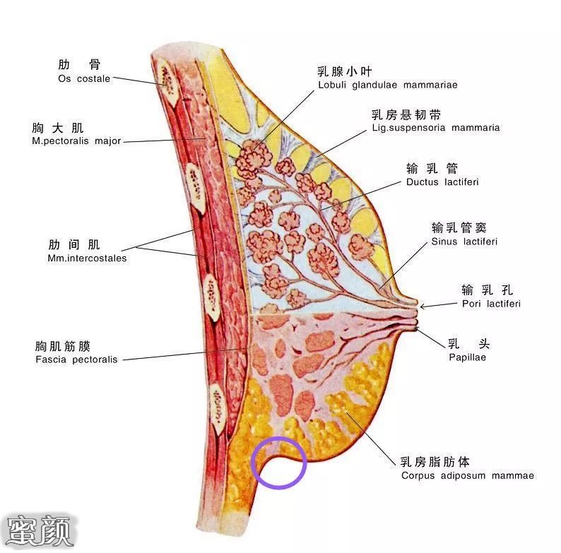 https://img.yiyiaimei.com/mnt/Editor/2020-11-12/5fad1709d16e1.jpg