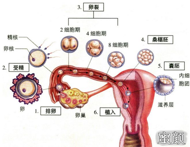 案例图片