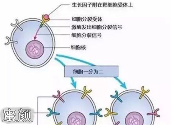 案例图片