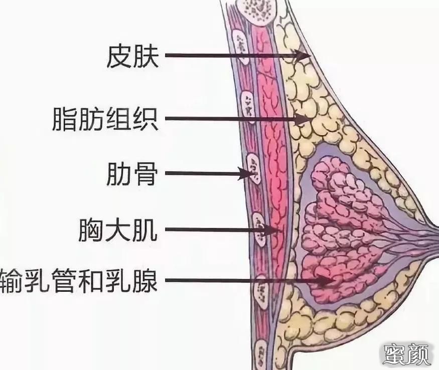 案例图片