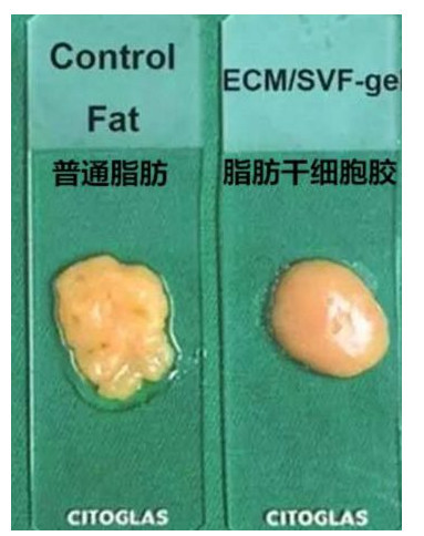 案例图片