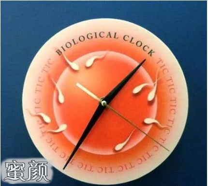 案例图片