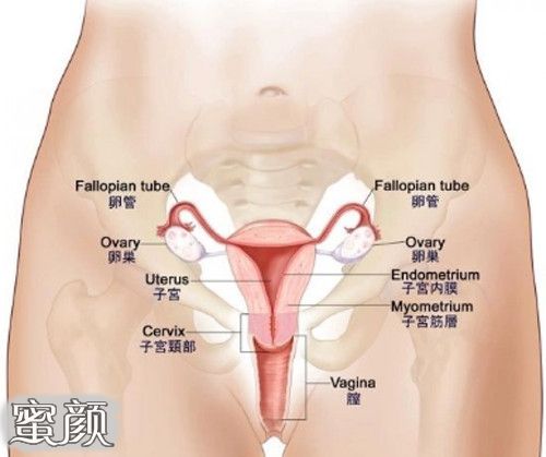 案例图片