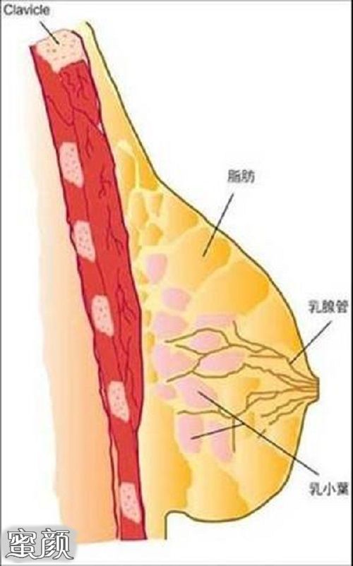 案例图片