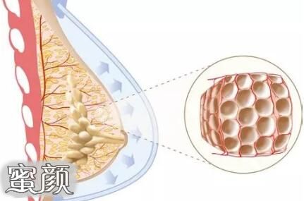 https://img.yiyiaimei.com/mnt/Editor/2020-12-05/5fcb35b3d6ea6.jpg