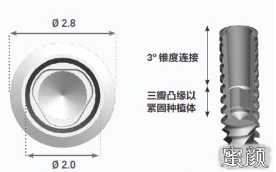 案例图片