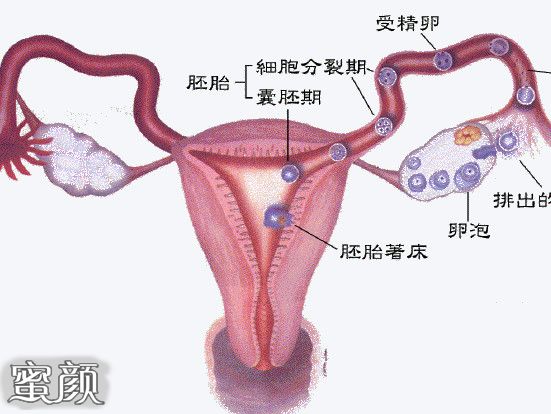 https://img.yiyiaimei.com/mnt/Editor/2020-12-06/5fccd3dda2602.jpg