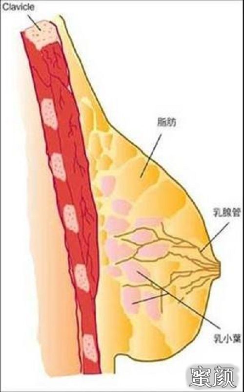 案例图片