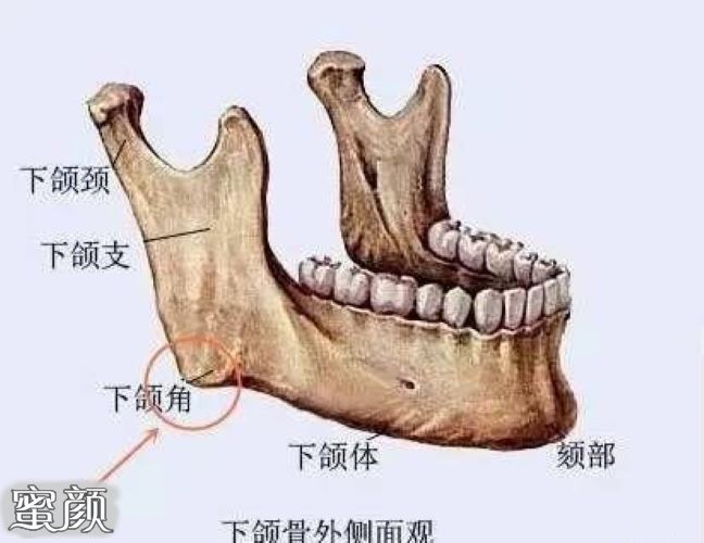 案例图片