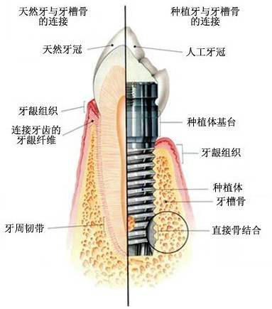 案例图片