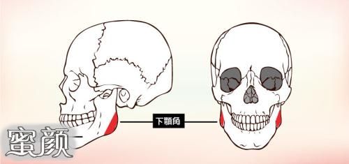 案例图片