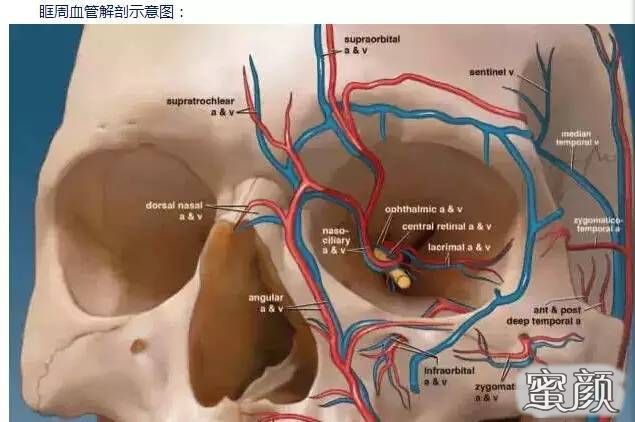 案例图片