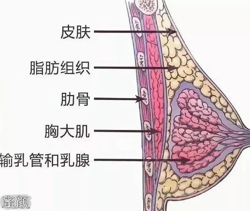 案例图片