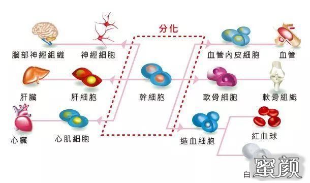 案例图片