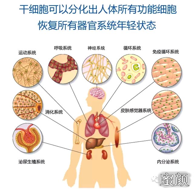 案例图片