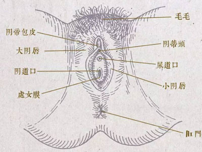 案例图片