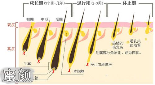 案例图片