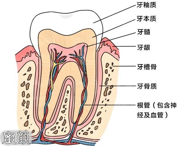 案例图片