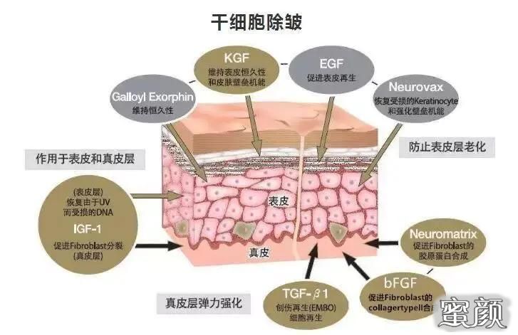 案例图片