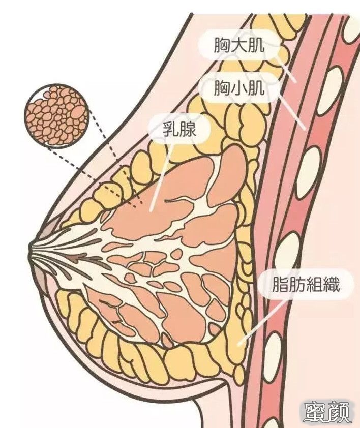 案例图片