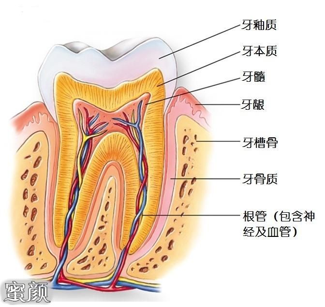 案例图片