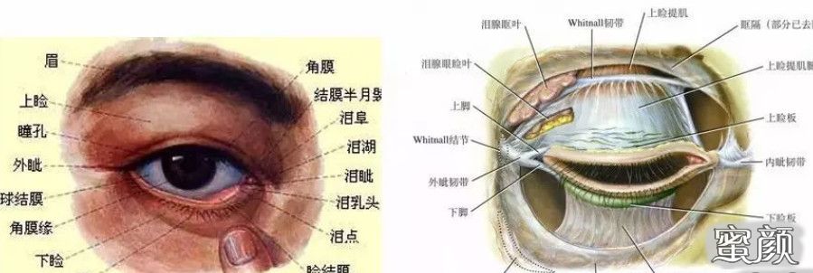 案例图片