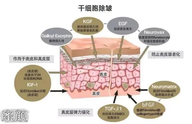 案例图片