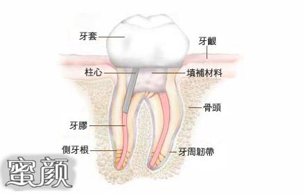 案例图片