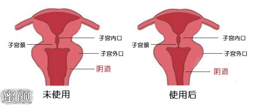 案例图片